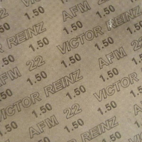 Reinz AFM-22