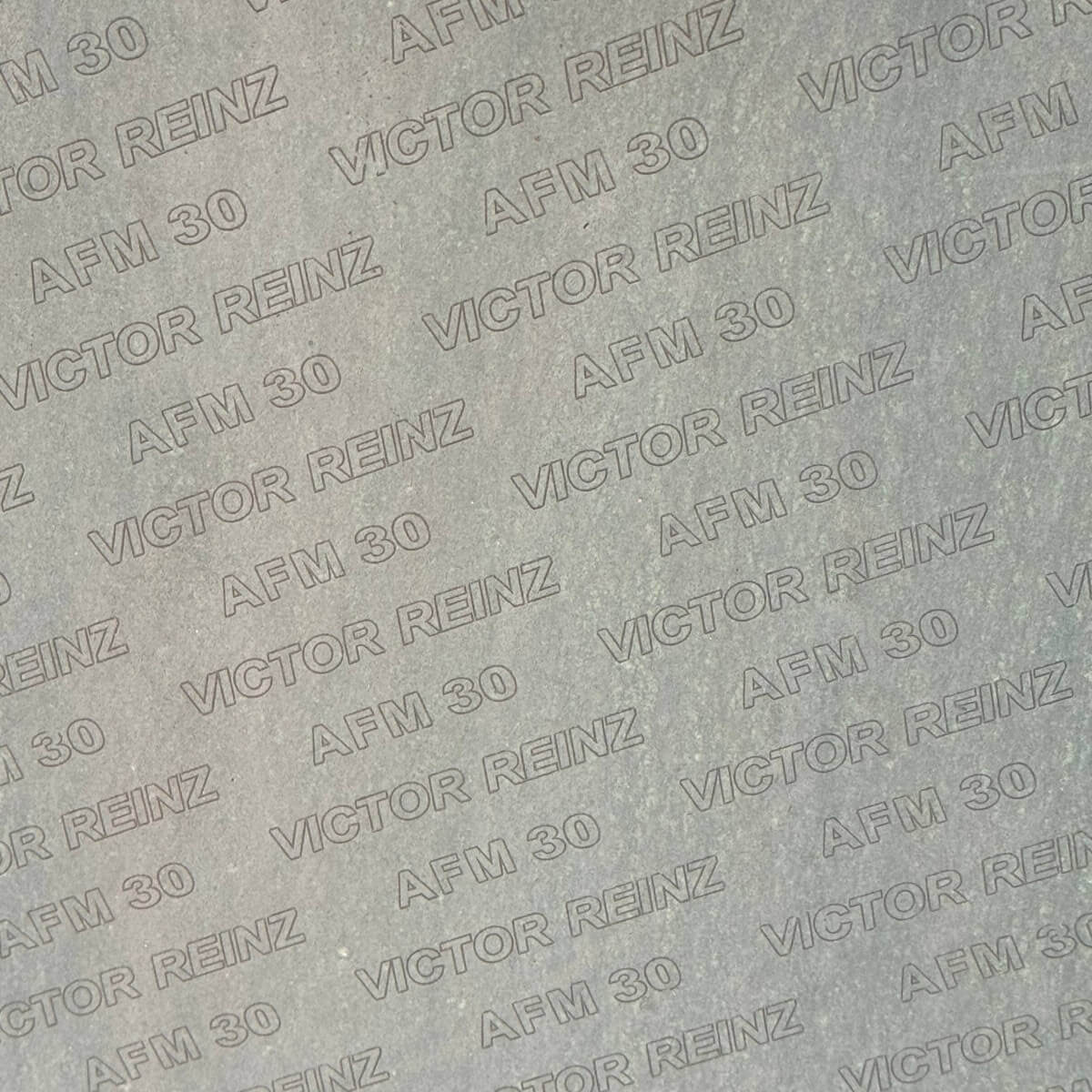 Reinz-AFM-30 Reinz AFM-30